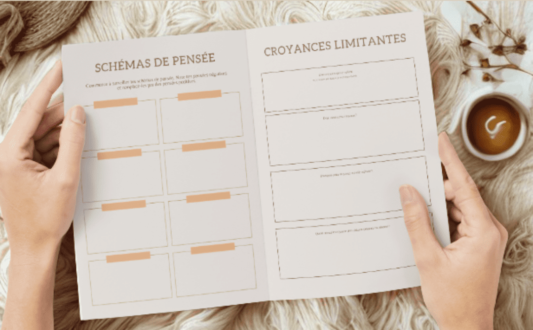 Journal d'abondance